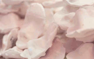 เสริมจมูก